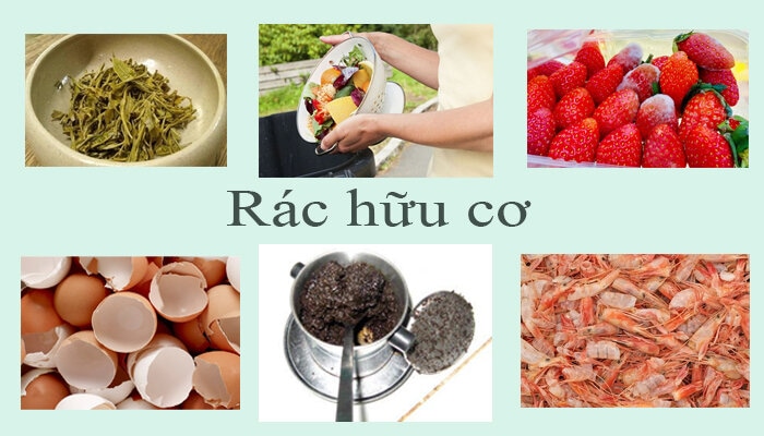 rác hữu cơ