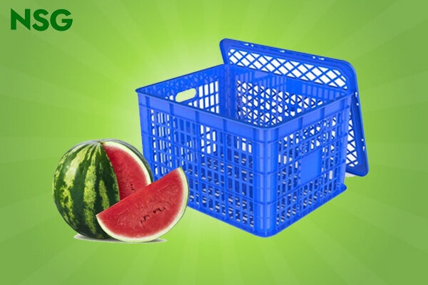 Sóng Nhựa Là Gì? Công Dụng Của Sóng Nhựa Trong Đời Sống 4 công dụng của sóng nhựa