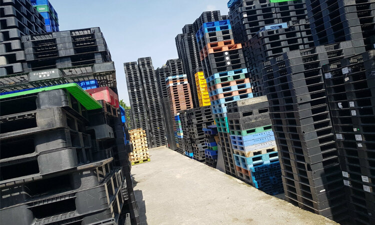Pallet Nhựa Là Gì? Ưu Điểm Và Ứng Dụng Pallet Nhựa Trong Đời Sống 2 pallet nhựa là gì
