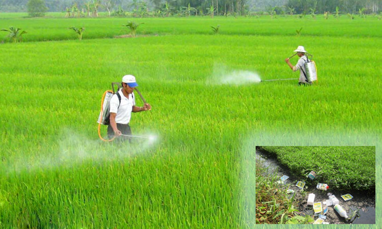 Tổng Hợp 10 Nguyên Nhân Gây Ra Ô Nhiễm Nguồn Nước 4 những nguyên nhân gây ra ô nhiễm nước
