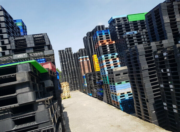 pallet nhựa cần thơ giá rẻ