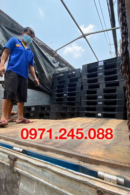 pallet nhựa thủ đức