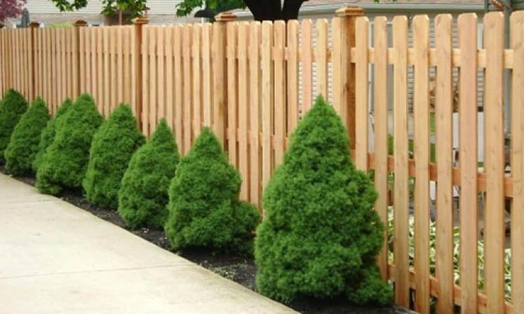 13+ Ý Tưởng Trang Trí Bằng Gỗ Pallet Độc Đáo, Gây Ấn Tượng 10 trang trí bằng gỗ pallet hàng rào