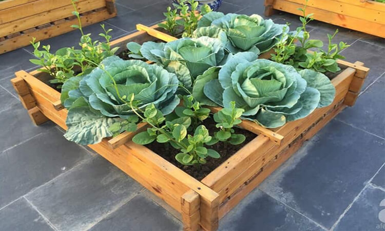 13+ Ý Tưởng Trang Trí Bằng Gỗ Pallet Độc Đáo, Gây Ấn Tượng 4 trang trí bằng gỗ pallet trồng cây