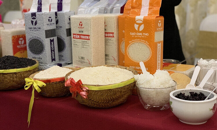 Xuất Khẩu Gạo Sang EU Tăng Mạnh Trong 4 Tháng Đầu 2 xuất khẩu gạo sang eu