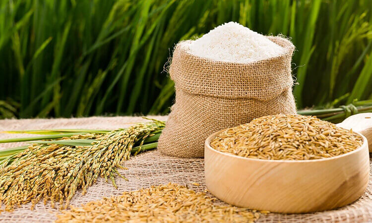 Thị Trường Xuất Khẩu Gạo Việt Nam: Cơ Hội Và Thách Thức 3 xuất khẩu gạo Việt Nam