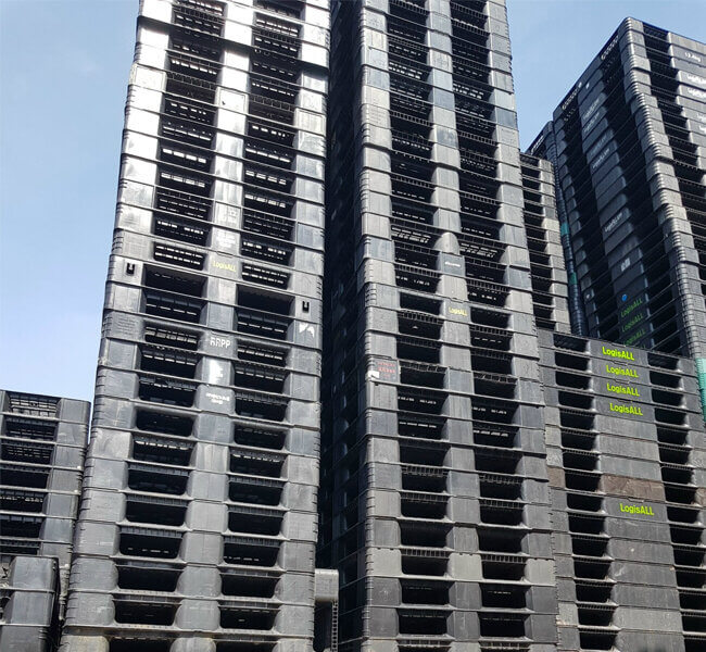 pallet nhựa nhơn trạch