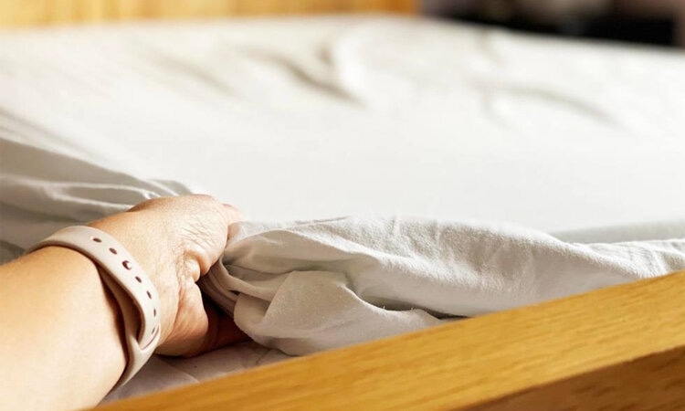 Vải Lanh Là Gì? Quy Trình Sản Xuất, Ưu Điểm và Ứng Dụng 1 vải lanh là gì