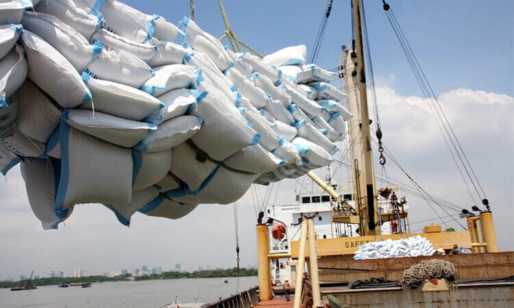 Xuất Khẩu Gạo Sang EU Tăng Mạnh Trong 4 Tháng Đầu 4 xuất khẩu gạo sang eu