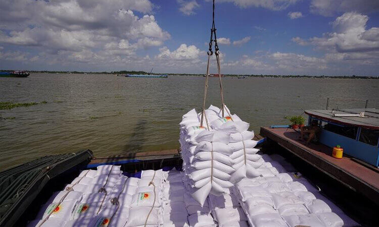 Xuất Khẩu Gạo Sang Trung Quốc: Đón Nhận Tăng Trưởng 4 xuất khẩu gạo sang trung quốc