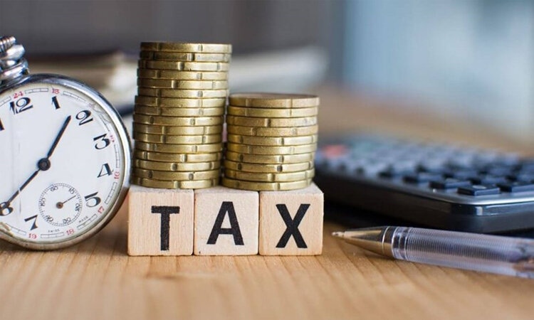 ai là người nộp thuế bảo vệ môi trường