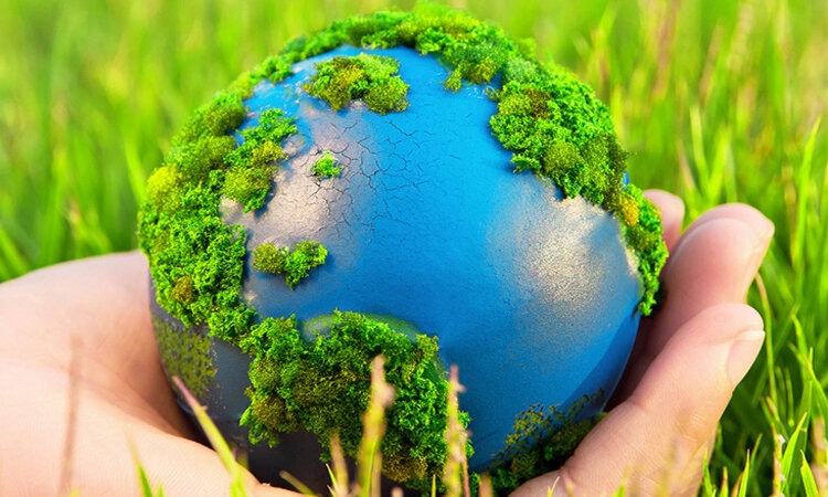 đặc điểm thuế bảo vệ môi trường