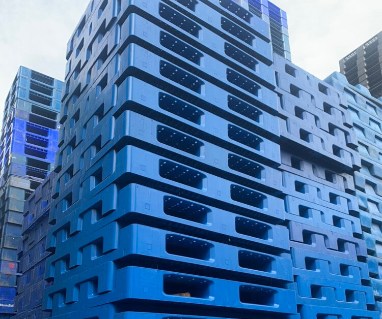 pallet nhựa cũ hậu giang