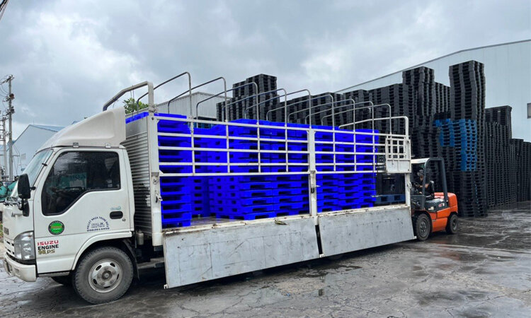 pallet nhựa cũ hậu giang