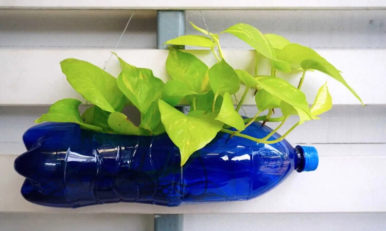 tái chế chai nhựa thành chậu trồng cây