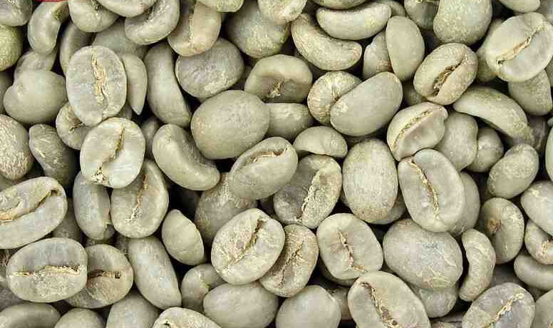 Cà Phê Thóc Là Gì? Cách Bảo Quản Cà Phê Thóc 4 bảo quản cà phê thóc ướt là gì