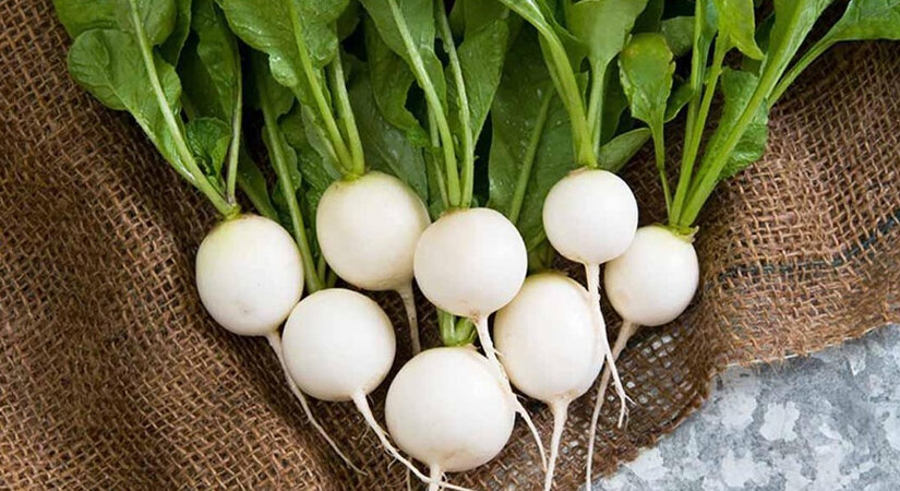 các loại rau củ quả tốt cho da 