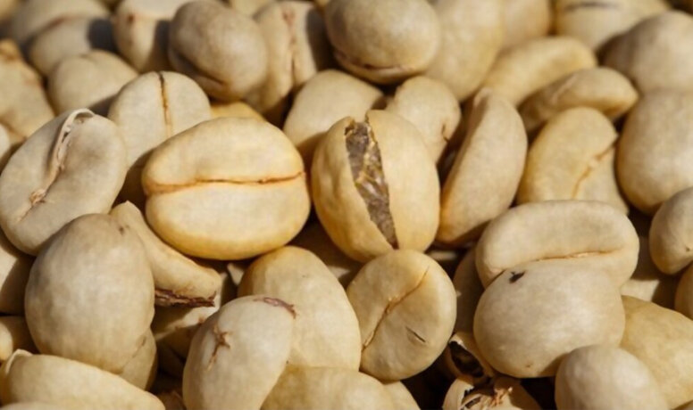 Cà Phê Thóc Là Gì? Cách Bảo Quản Cà Phê Thóc 5 bảo quản cà phê thóc ướt là gì