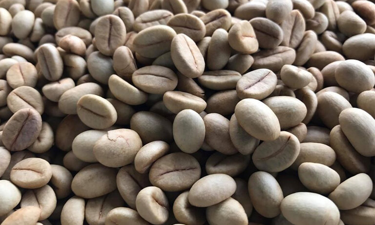 Cà Phê Nhân Là Gì? Các Cách Sơ Chế Cà Phê Nhân 2 cà phê nhân là gì