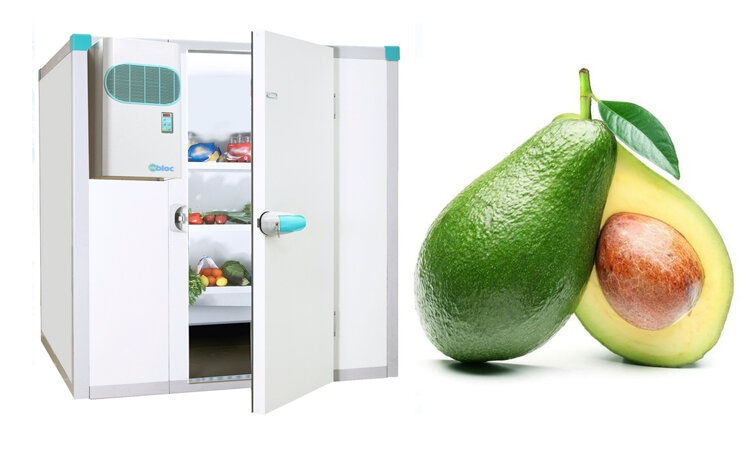 Kho Lạnh Bảo Quản Trái Cây Tươi Lâu, Không Giảm Chất Dinh Dưỡng 2 kho lạnh bảo quản trái cây