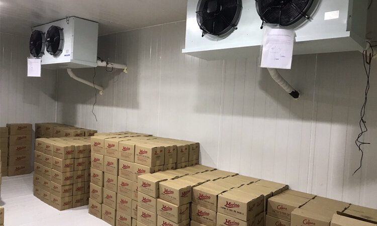 kho lạnh bảo quản thực phẩm