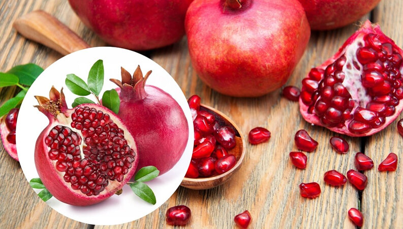 thủ tục nhập khẩu trái cây tươi