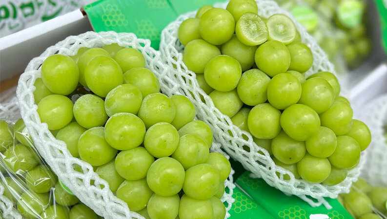 thủ tục nhập khẩu trái cây tươi