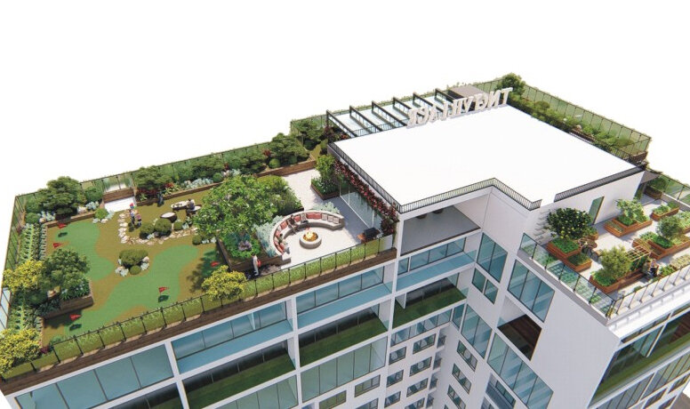 Kinh nghiệm trồng sân vườn trên mái