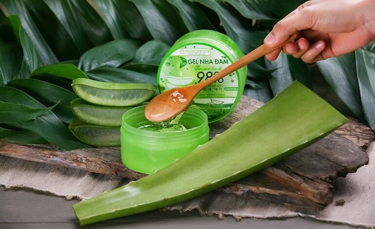 Cách sử dụng nha đam sau khi thu hoạch