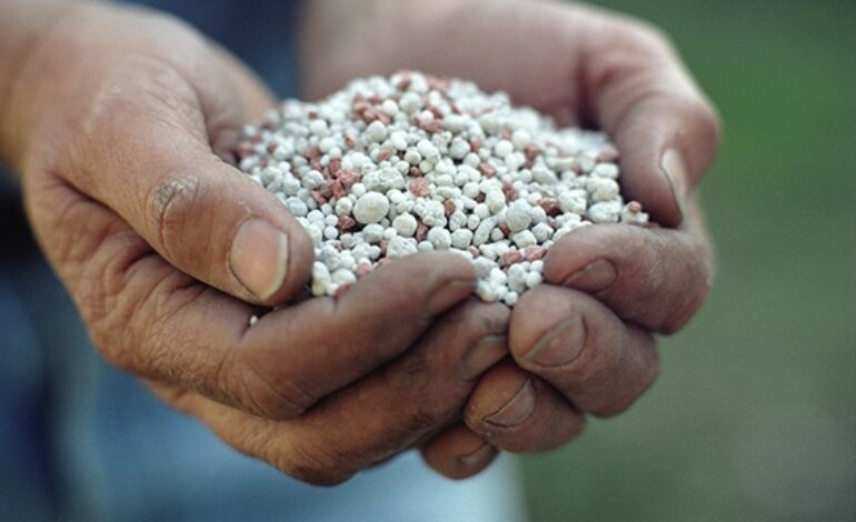 Tỷ Lệ Pha NPK Với Nước? Cách Ngâm NPK Tưới Cây 3 Tỷ lệ pha NPK với nước