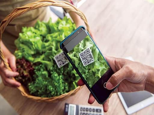 Truy xuất nguồn gốc sản phẩm và những thông tin bạn cần biết 1 Truy xuất nguồn gốc hàng hóa được áp dụng ở nhiều nơi trên thế giới