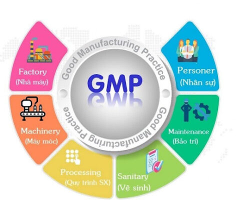 GMP kiểm soát mọi khía cạnh nhà máy, thiết bị, nhân sự