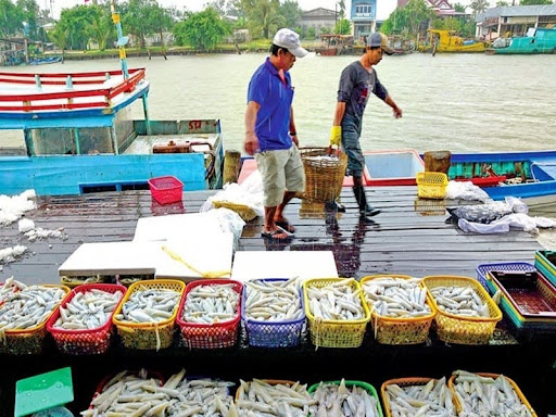 Sở hữu nhiều ưu điểm nên sóng nhựa đựng hải sản được sử dụng nhiều trên thị trường