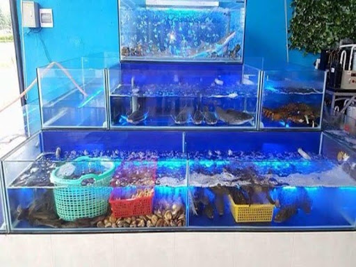 Mọi khâu trong quá trình chế biến thủy hải sản đều có sự xuất hiện của sóng nhựa